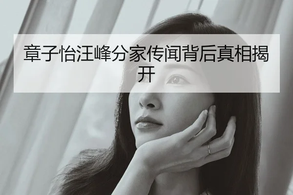章子怡汪峰分家传闻背后真相揭开